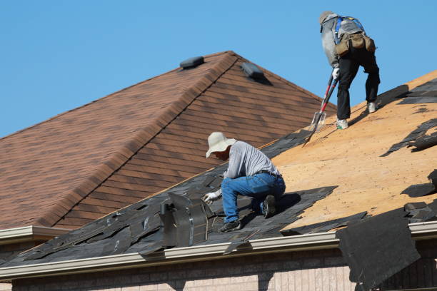 Best Roof Installation  in Pleasureville, KY