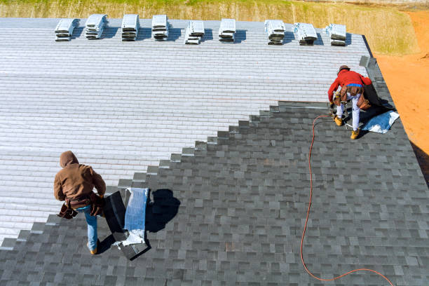 Best Rubber Roofing (EPDM, TPO)  in Pleasureville, KY